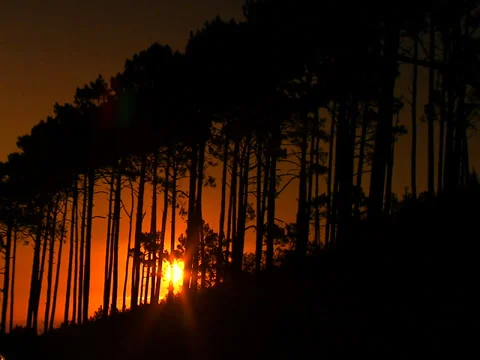 Sunset Stock Footage 27359919