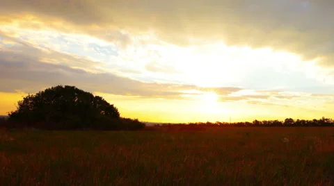 Sunset 库存影片 29161584