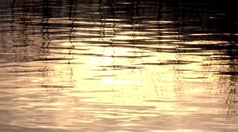 Sunset  Vidéo 35766068