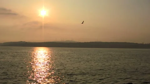 Sunset Stock Footage 46223713