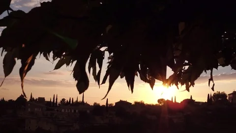 Sunset 스톡 동영상 77161371