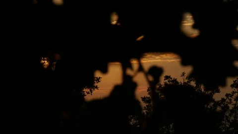 Sunset Stock Footage 77161490