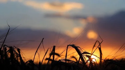 Sunset Stock Footage 78613655