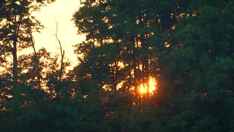 Sunset Stock Footage 80243325