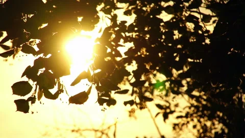 Sunset Stock Footage 91321681