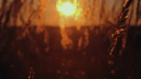 Sunset Stock Footage 91687651