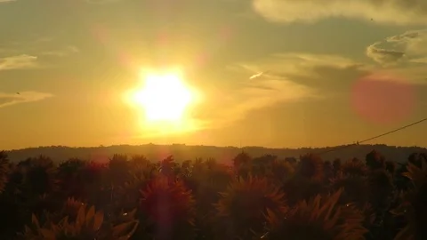 Sunset Stock Footage 95132373