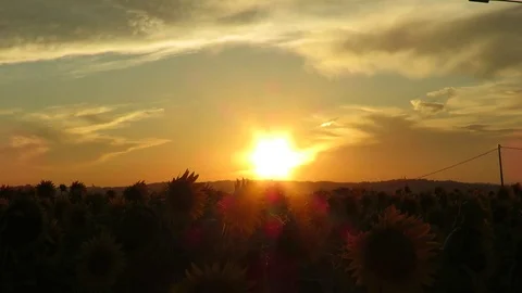 Sunset Stock Footage 95133059