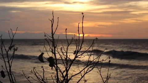 Sunset Stock Footage 95867836