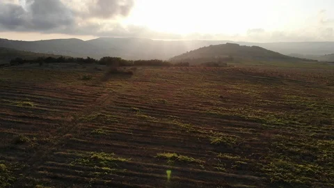 Sunset Видео 96261075