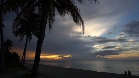 Sunset Video stock 98307549