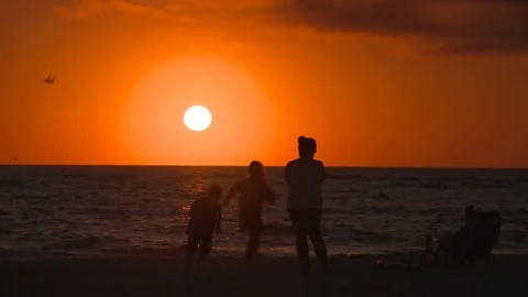 Sunset Stock Footage 102456671