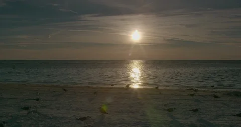 Sunset Stock Footage 102568623