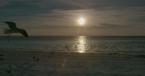 Sunset Stock Footage 102568770