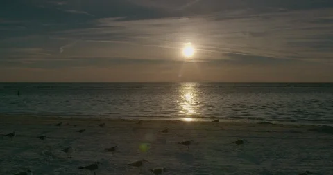 Sunset Stock Footage 102580988