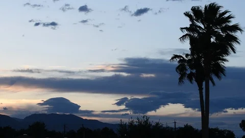 Sunset Video stock 108606073