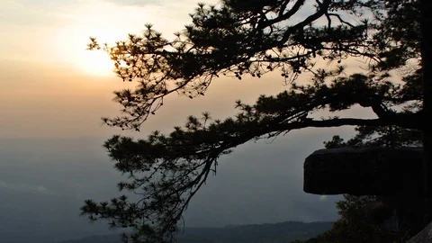 Sunset Stock Footage 115562936