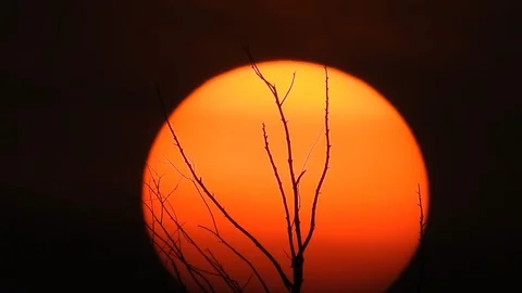 Sunset Stock Footage 119068850