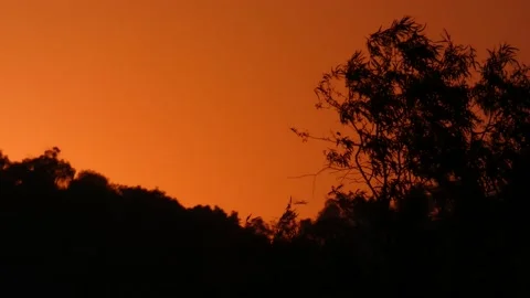 Sunset Stock-Footage 130768511