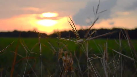 Sunset Stock Footage 132800390