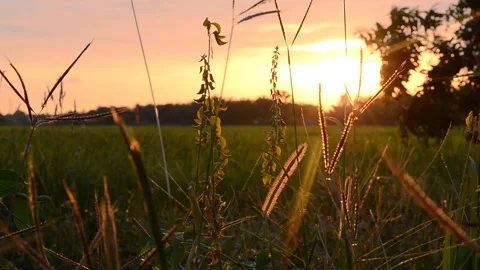 Sunset Stock Footage 132800413