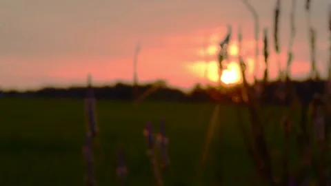 Sunset Stock Footage 132800414