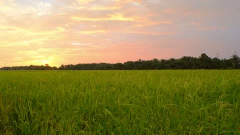 Sunset Stock Footage 132800467