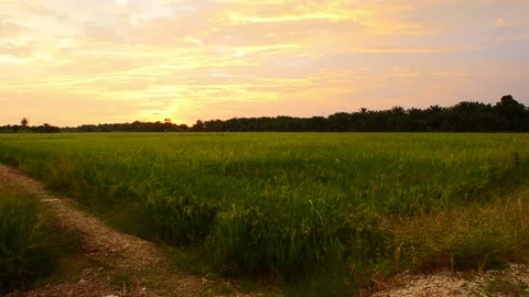 Sunset Stock Footage 132800483