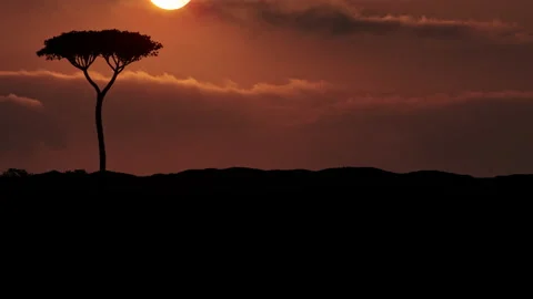 Sunset Stock Footage 137675367