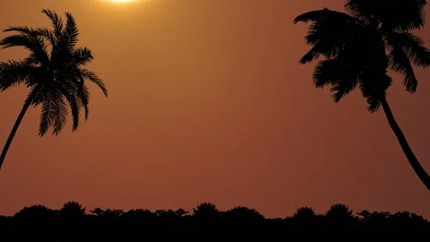 Sunset Stock Footage 137676892