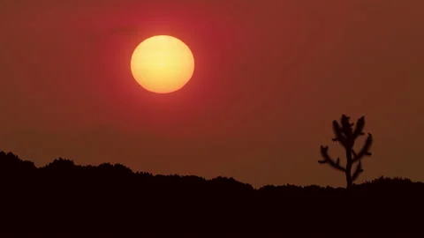 Sunset Stock Footage 137839479