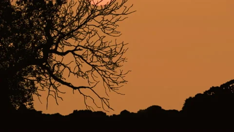Sunset Stock Footage 137875356