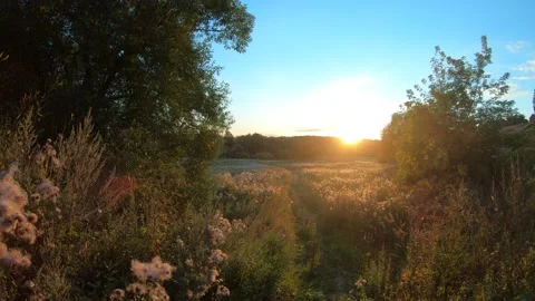 Sunset Video stock 137915779