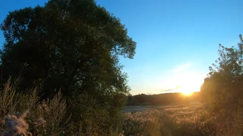 Sunset Video stock 137915780