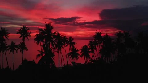 Sunset Stock Footage 141595377