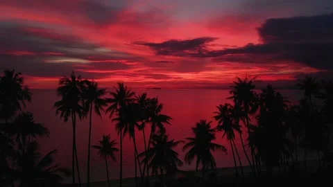 Sunset Stock Footage 141595382