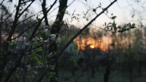 Sunset Stock Footage 148236760