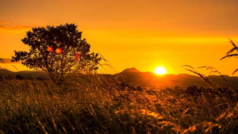 Sunset Stock Footage 149941412