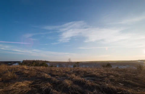 Sunset Video stock 150156600