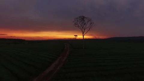 Sunset Stock Footage 151719207