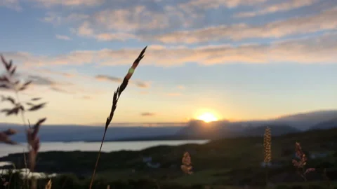 Sunset Stock Footage 166508745