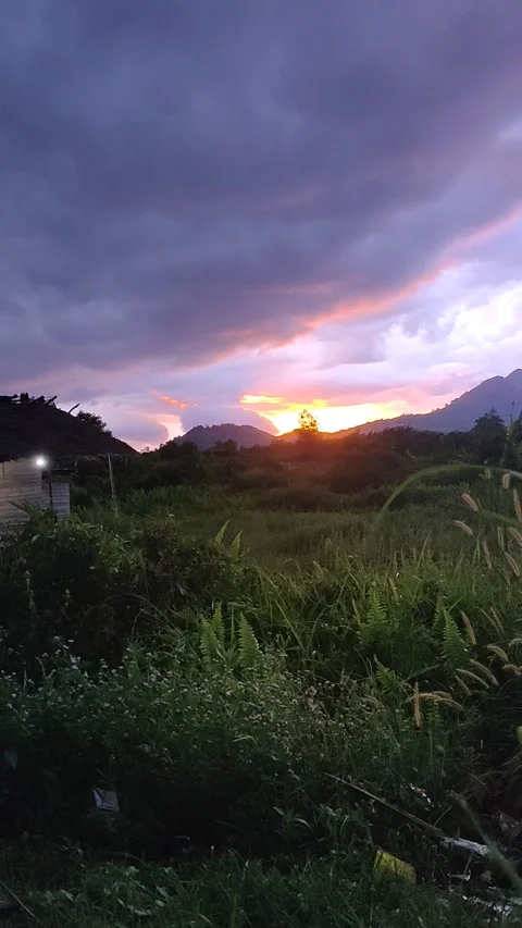 The sunset Video stock 167366369
