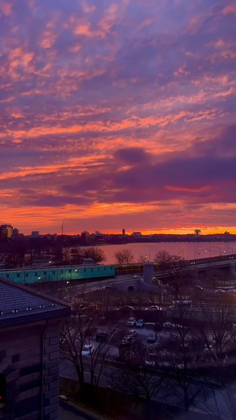 Sunset Video stock 168633838