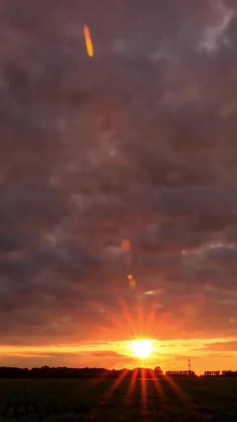 Sunset Video stock 168661113