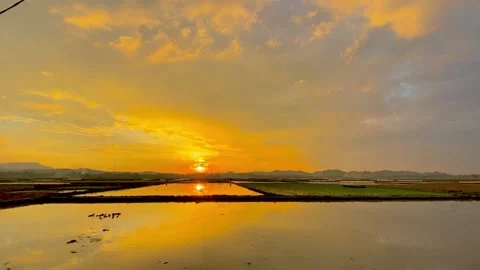 Sunset Stock Footage 206273831