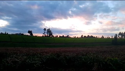 Sunset Video stock 208950920