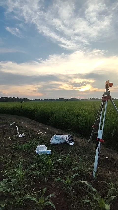 Sunset Video stock 210291709