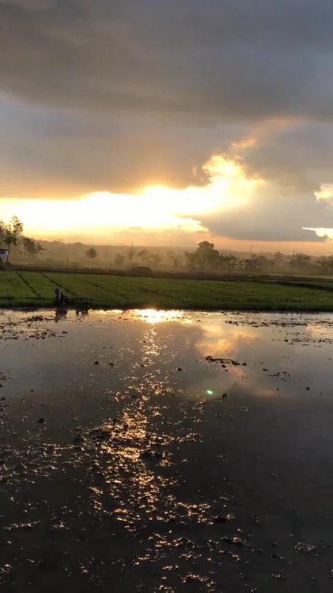 Sunset . Stock Footage 211715010