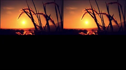 Sunset Stock Footage 213140964