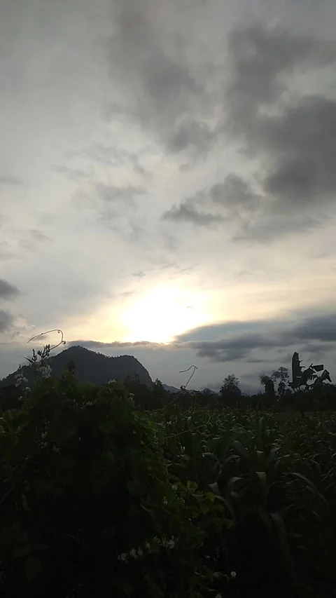 Sunset Video stock 218219535